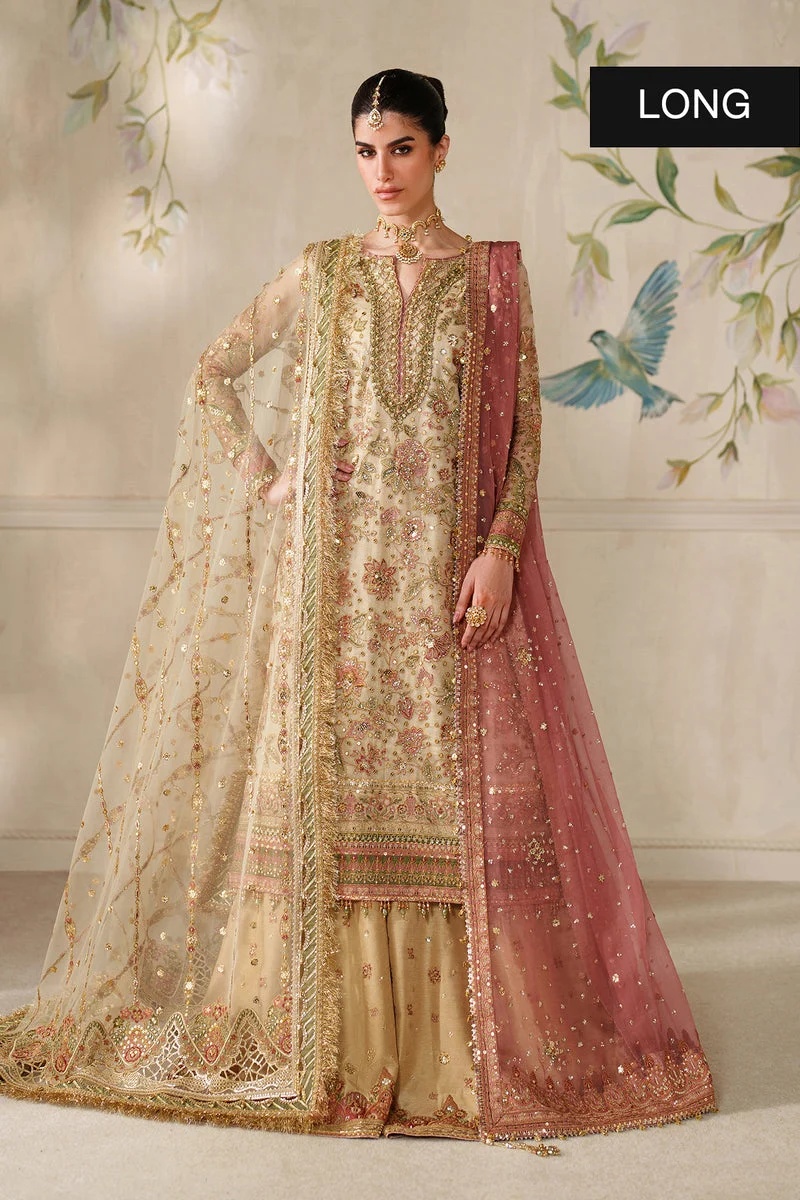 EMBROIDERED NET BAROUQE pakistani fashion outfit with coordinated…